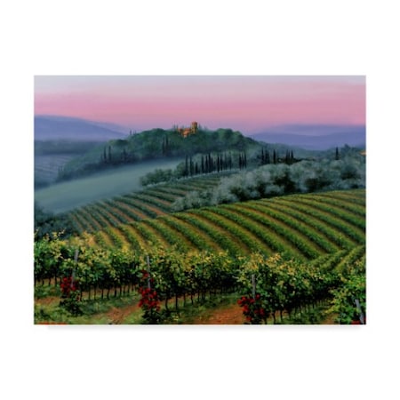 Michael Swanson 'Chianti Dusk' Canvas Art,18x24